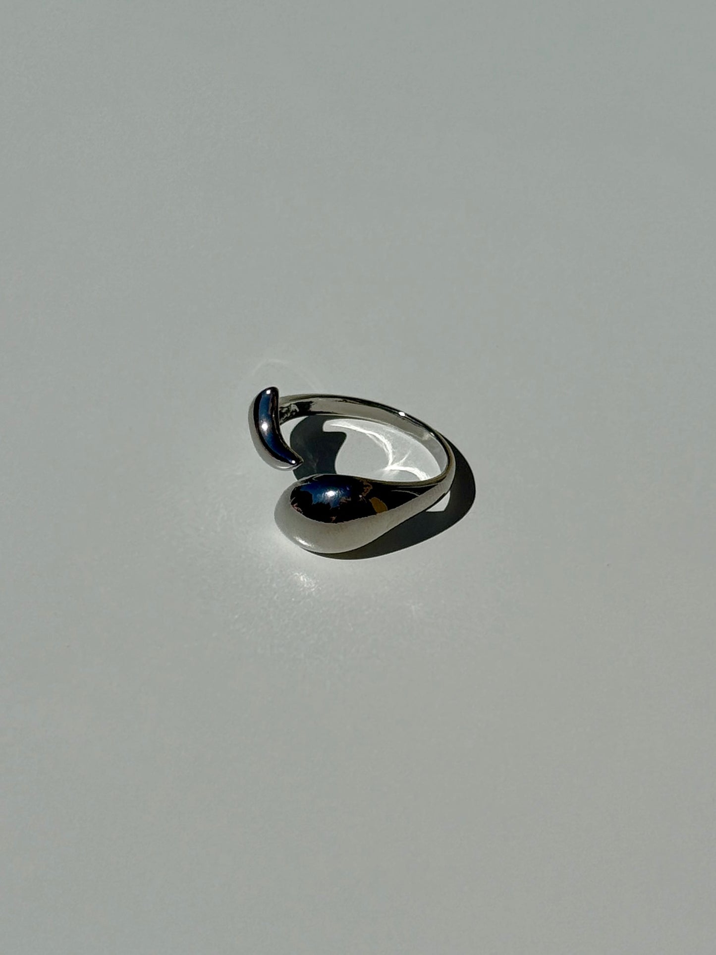 Ring ‚Kiss Me Like A Dolphin‘