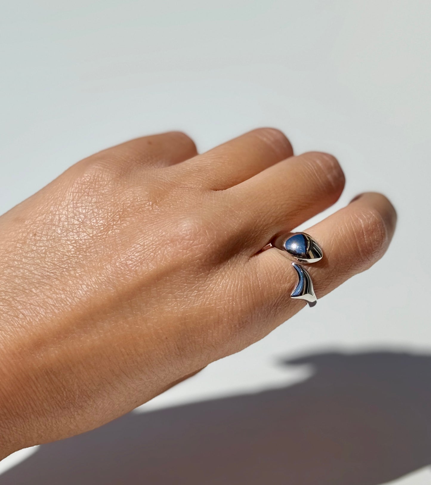 Ring ‚Kiss Me Like A Dolphin‘